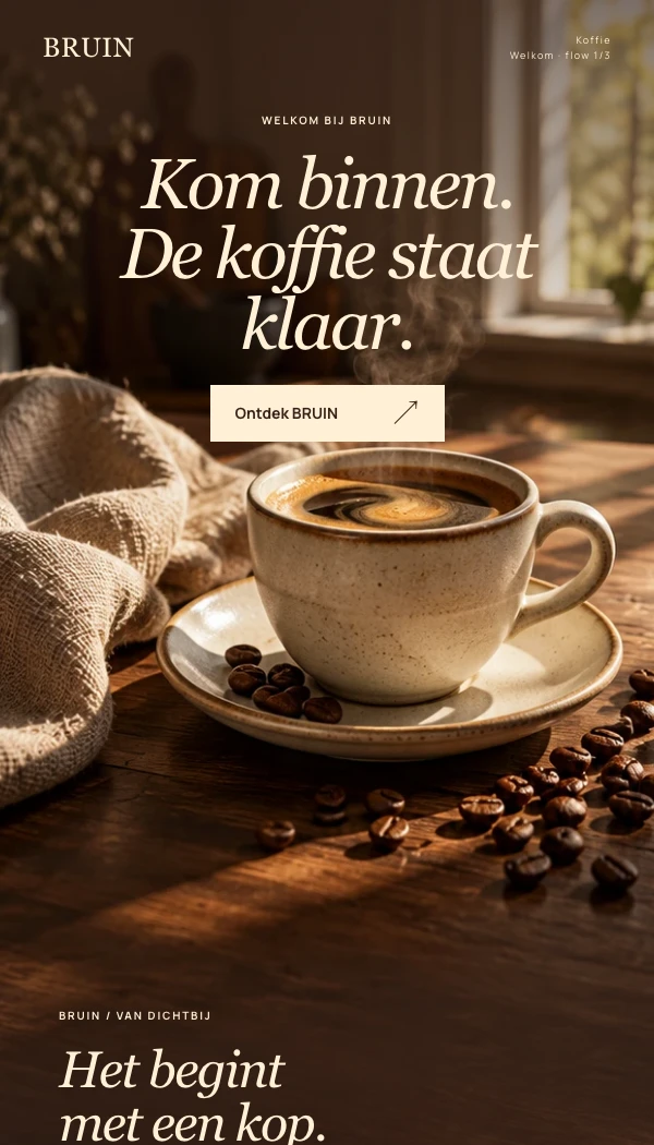 E-maildesignconcept BRUIN: Welkom · flow 1/3