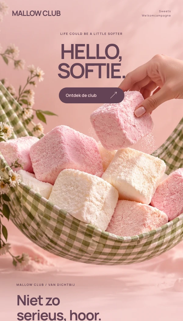 E-maildesignconcept MALLOW CLUB: Welkomcampagne